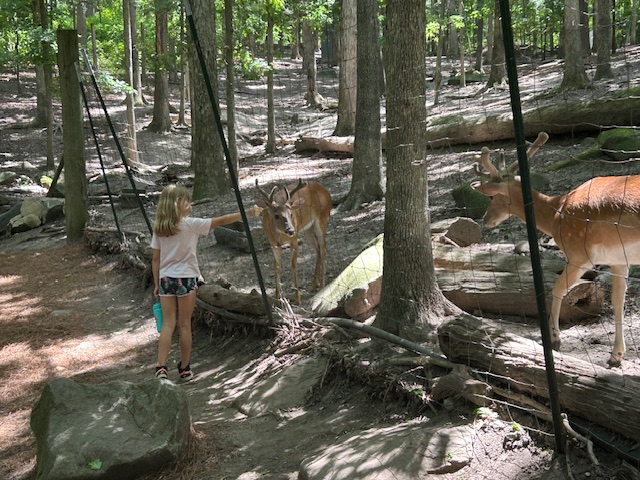 Kids playing outdoors