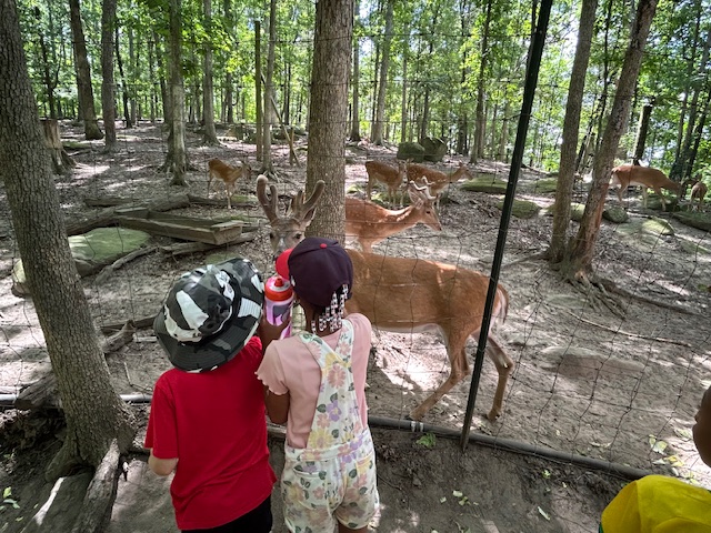 Kids playing outdoors