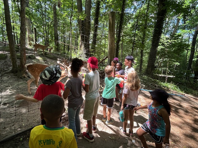 Kids playing outdoors