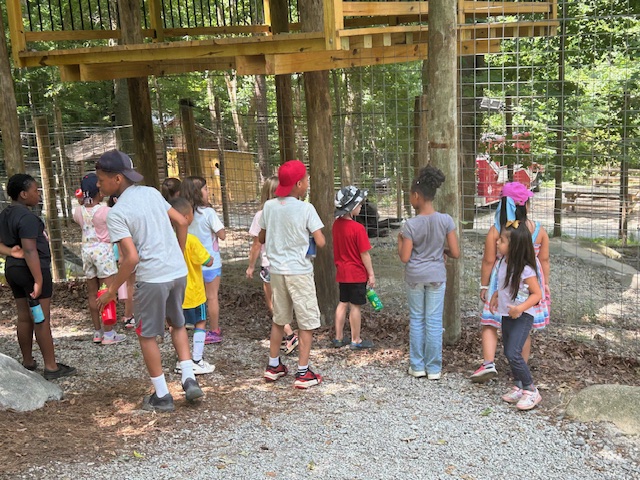 Kids playing outdoors