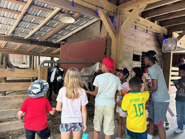 Kids playing outdoors