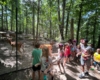 Kids playing outdoors