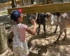 Kids playing outdoors